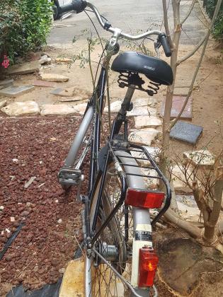 אופני נשים הולנדיות אמיתיים רטרו