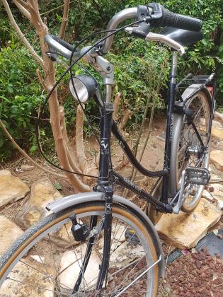 אופני נשים הולנדיות אמיתיים רטרו