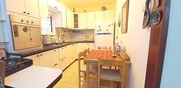 שמריהו לוין 1 (אברמוביץ')