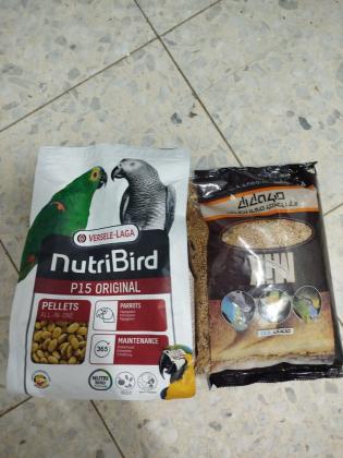 * תוכי קוואקר בן חצי