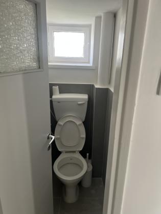 דובנוב 11 (כצנלסון)