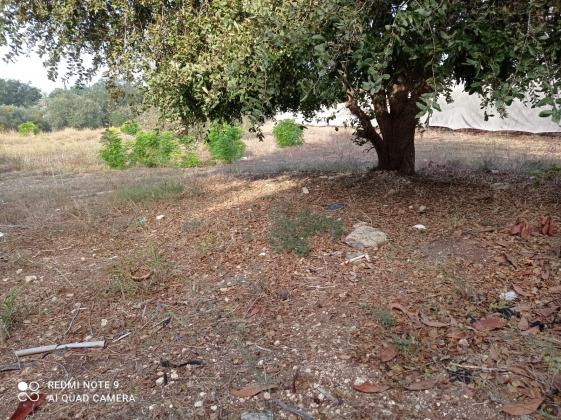 בשכונת גבעת עדה