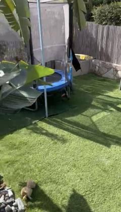 הלמד הא 43, רמת החייל, תל אביב יפו