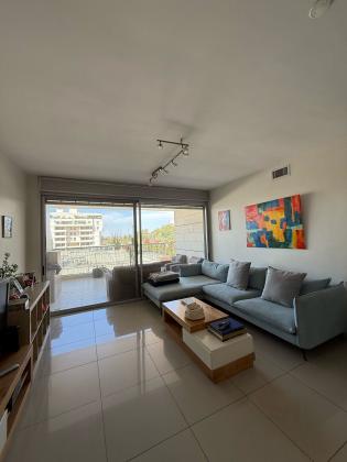 פאגלין עמיחי 9, אזורי חן, תל אביב יפו