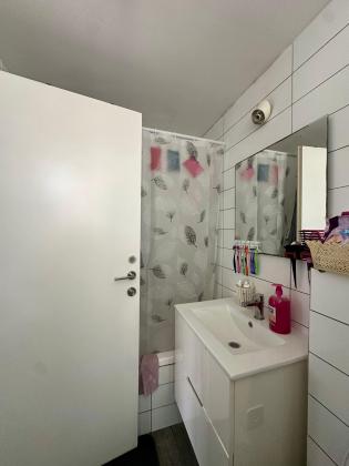 שבטי ישראל, גבעת סוקולוב