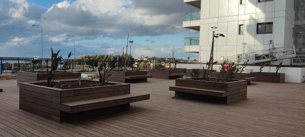 המלכים 1, קרית צאנז