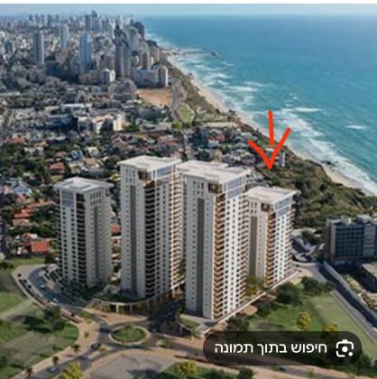 המלכים 1, קרית צאנז