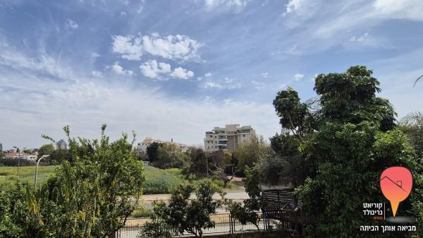 בן יוסף 12, הדר