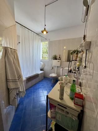 הלוטוס 9 (עג'מי)