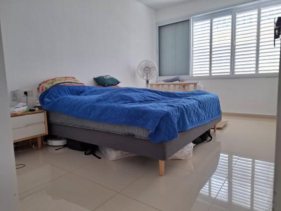 ברנדייס 16, רמב"ם