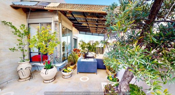 עין גדי, שיינקין