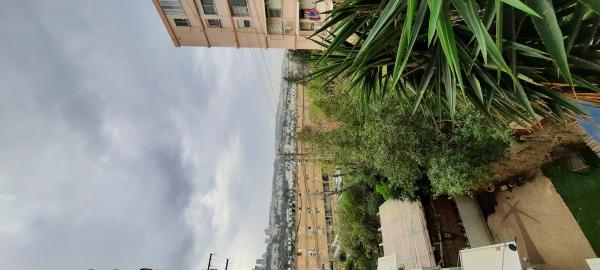 הרב מיימון 46, נוה שאנן