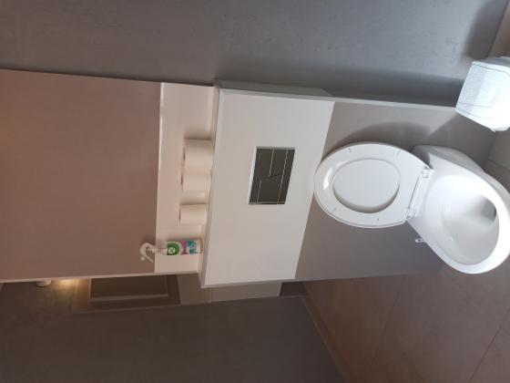 הרמב"ם 1001, בן גוריון