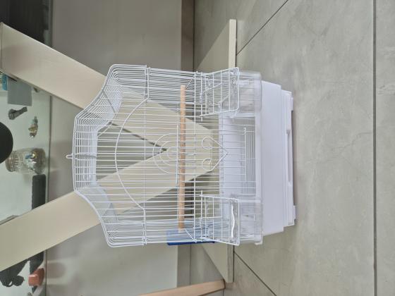 כלוב גדול לתוכי (לא דומה