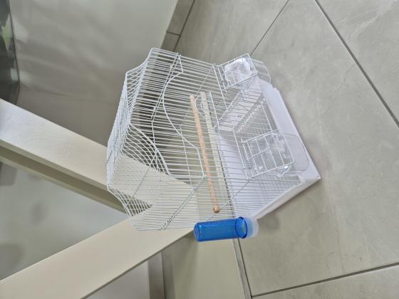 כלוב גדול לתוכי (לא דומה