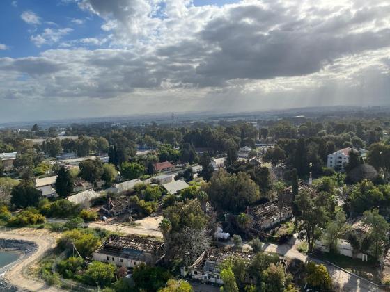 הצבר 25, נרקיסים