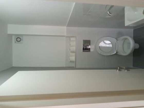 הרמב"ם 1001, בן גוריון