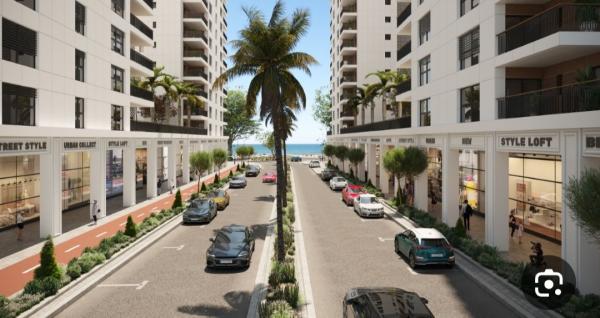 המלכים 1, קרית צאנז