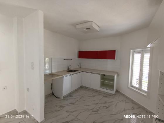 הפרדס הראשון 4, כצנלסון