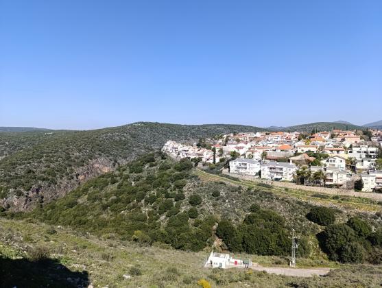 קהילת יהודות צרפת 20