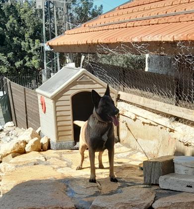 טובה עם ילדים