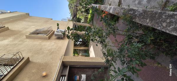 צבי שץ 59, גרין ועם