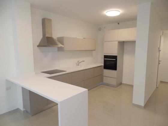 אבא חושי 151, סביוני דניה