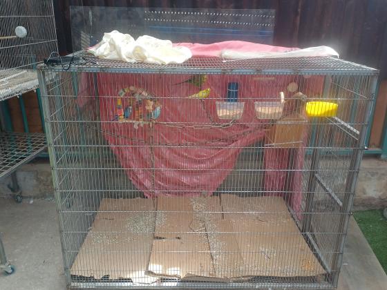 ארבעה תוכנים יפיפים וחמודים ב200