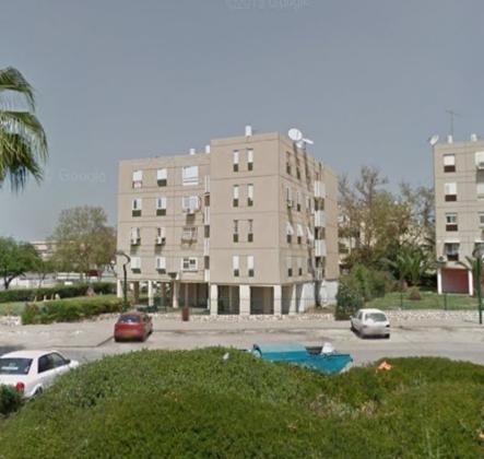 אהוד בן גרא 2, השופטים