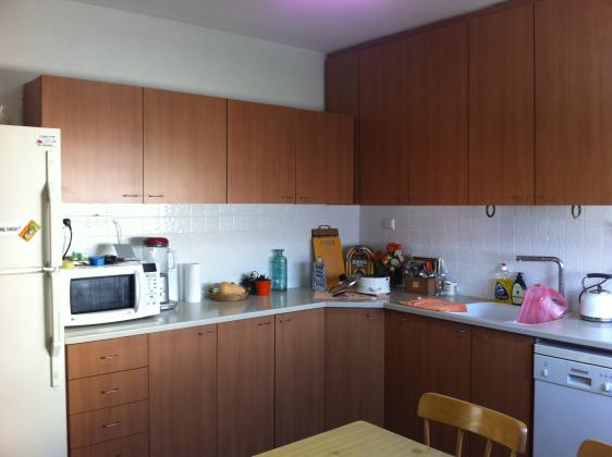 חומה ומגדל 4, תקומה, הראשונים