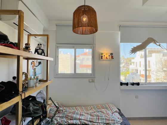 דב ממזיריץ 14, צהלון ושיכוני חסכון