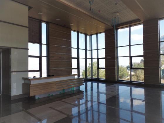 אבא חושי 151, סביוני דניה