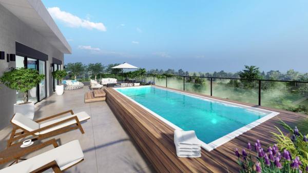 ודגווד, מרכז הכרמל