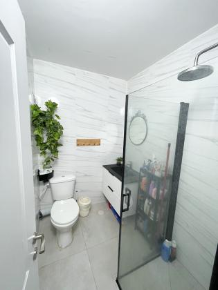 יהודה הלוי 29, חכמי ישראל (תשלוז)