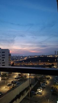 דרך ארץ 76, הפרחים