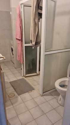 המכבים 28, קרול