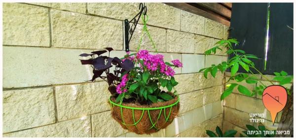 כוכבן, שיכון גיורא