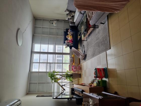 סוקולוב 14, הדר