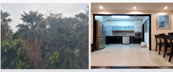 בוני העיר 7, כוכב הצפון