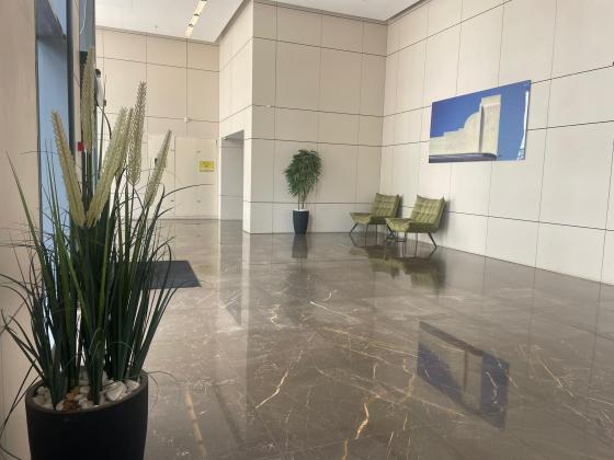 בית אל 41, נוה שרת, תל אביב יפו