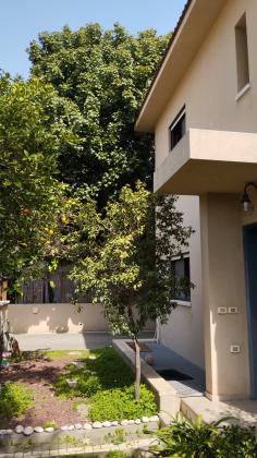 בשכונת בנימינה