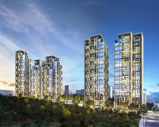 הצוף 36, גילה