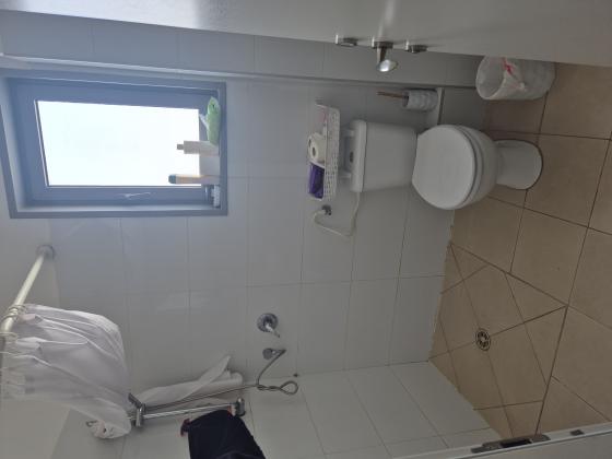 דפנה 6, סיגליות