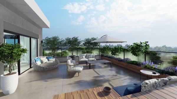 ודגווד, מרכז הכרמל