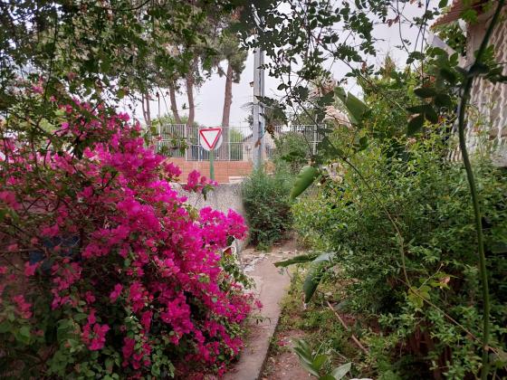 זאב יעבץ 48, קרית מטלון