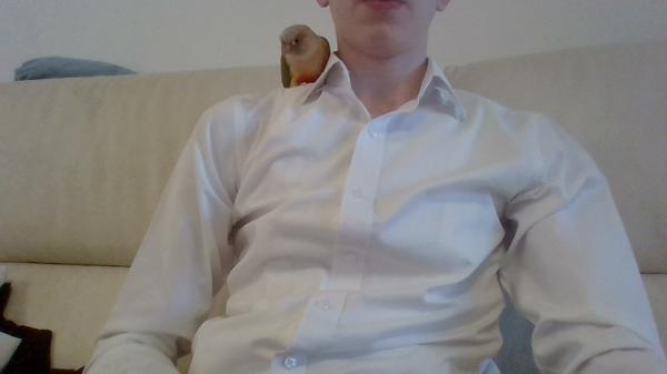 גרינציק אננס מדהים האכלת יד