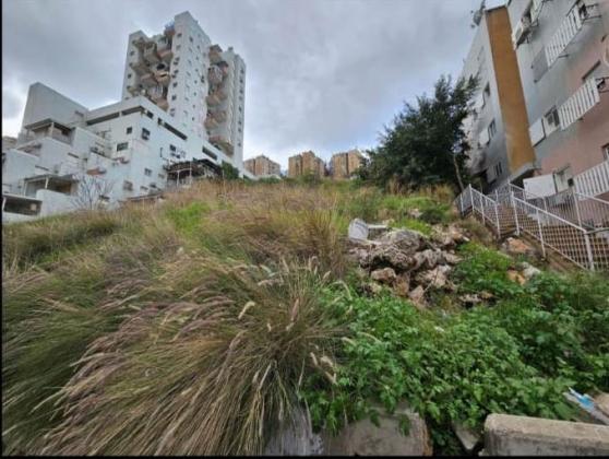 בשכונת נוה פז