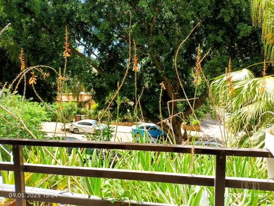 רוטשילד 18, מרכז העיר דרום