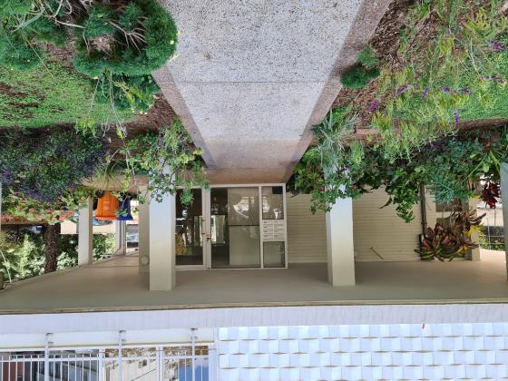 ליפסקי 21, הצפון החדש סביבת כיכר המדינה