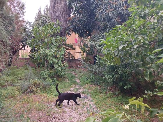 זאב יעבץ 48, קרית מטלון